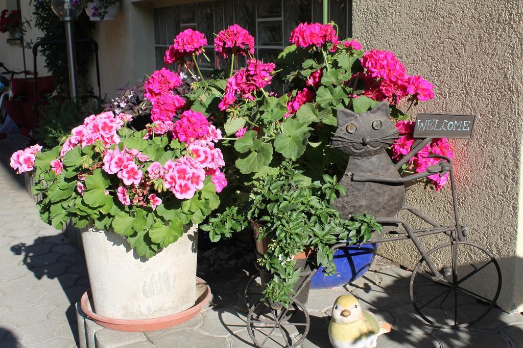Appartement - Ferienwohnungen - Gaestehaus Gabriele Drobollach am Faakersee Buitenkant foto