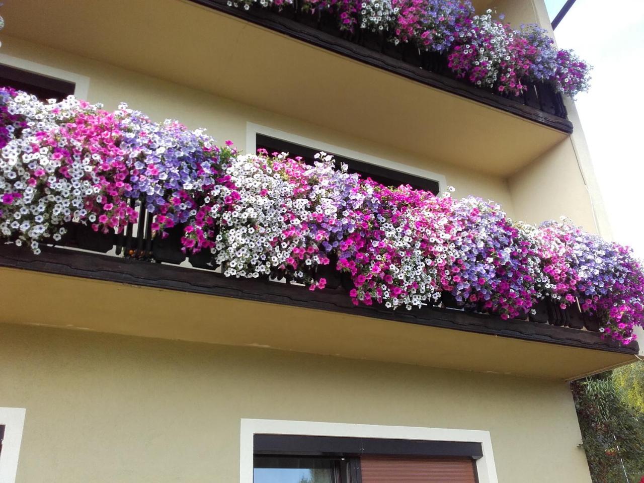 Appartement - Ferienwohnungen - Gaestehaus Gabriele Drobollach am Faakersee Buitenkant foto
