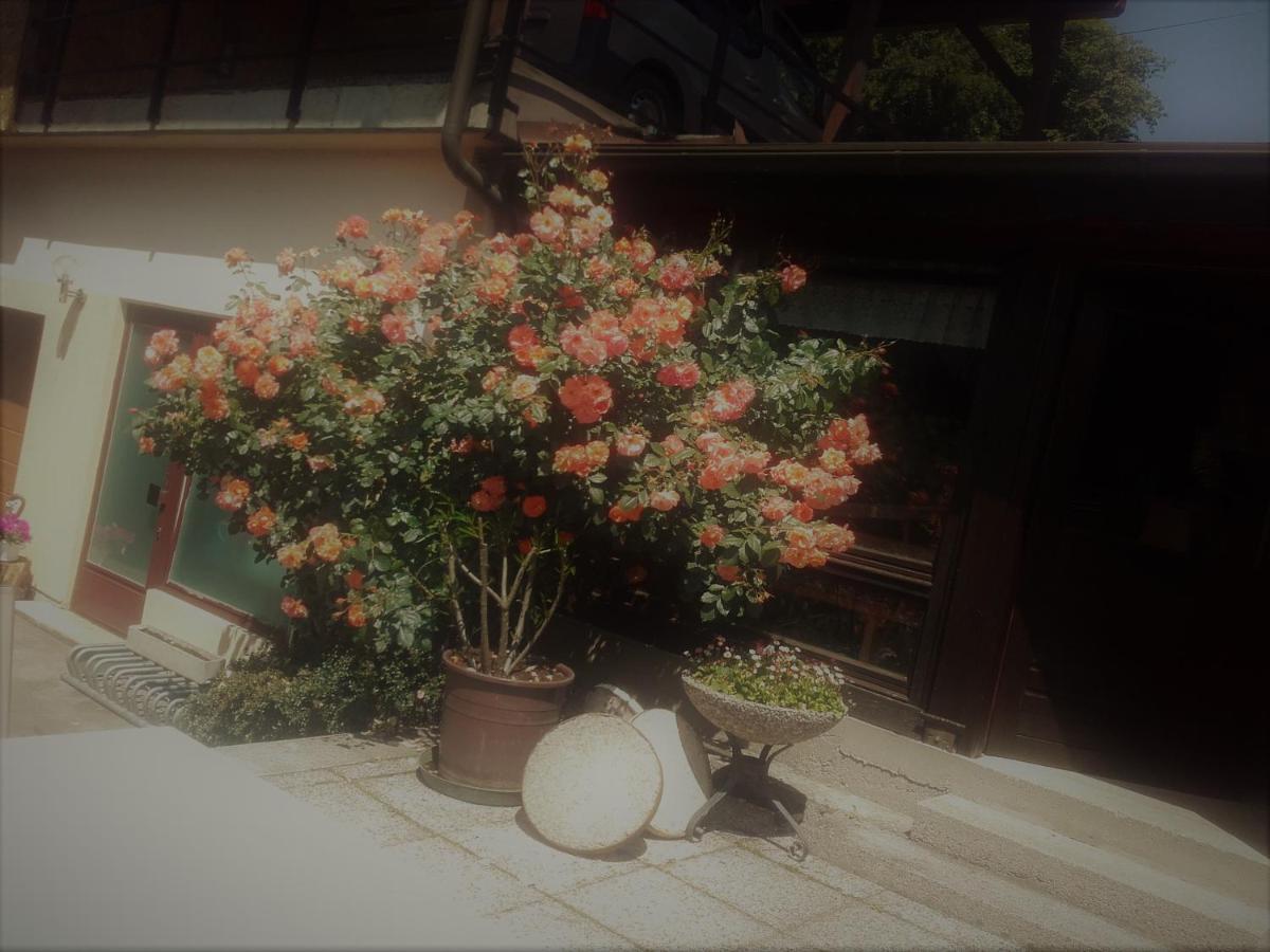 Appartement - Ferienwohnungen - Gaestehaus Gabriele Drobollach am Faakersee Buitenkant foto
